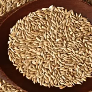 Semillas de alpiste x 250 gr.